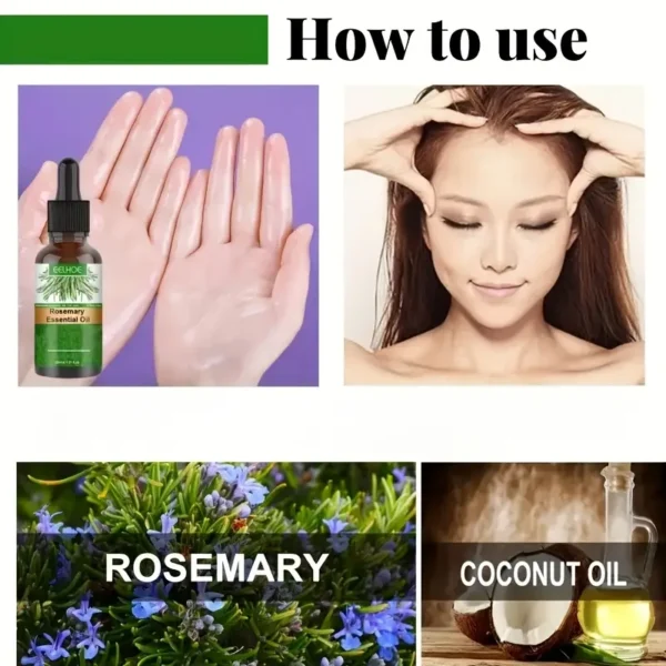 EELHOE Rosemary Oil - Image 4