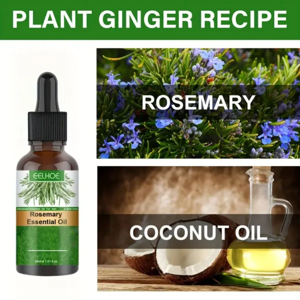 EELHOE Rosemary Oil - Image 3